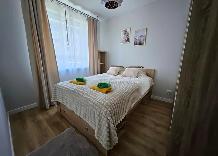 Urban Jungle Apartament Brown